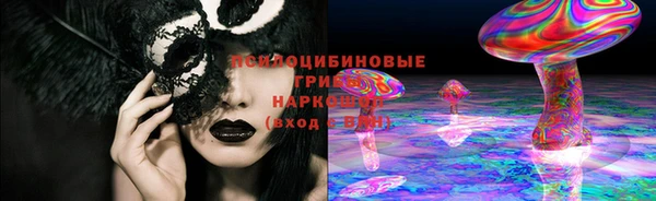 MDMA Premium VHQ Нязепетровск