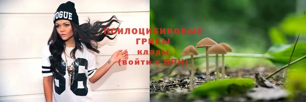 MESCALINE Осинники