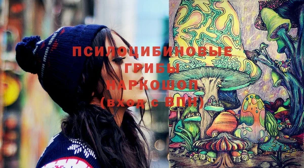 MESCALINE Осинники